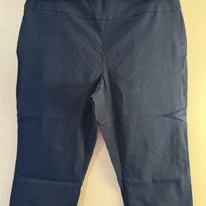 Van Heusen Dark Blue Stretch Pants